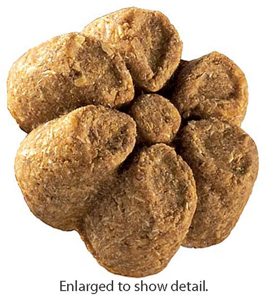 Fruitables Crunchy Treats, 7 oz - Healthber