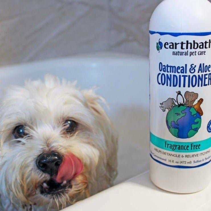 Earthbath Conditioner Oatmeal & Aloe - Healthber