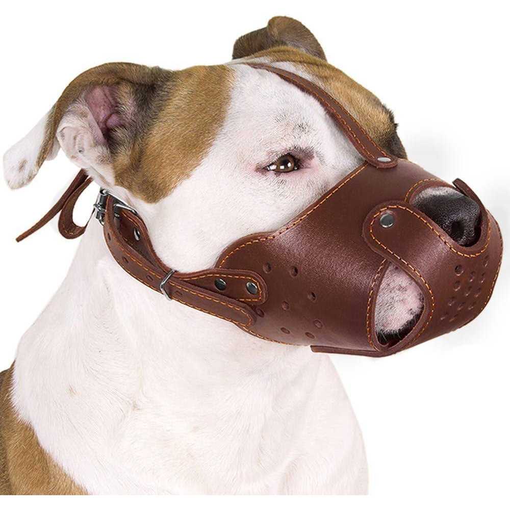 CollarDirect Dog Muzzle Pitbull Amstaff Basket Genuine Leather Staffordshire Terrier - Healthber