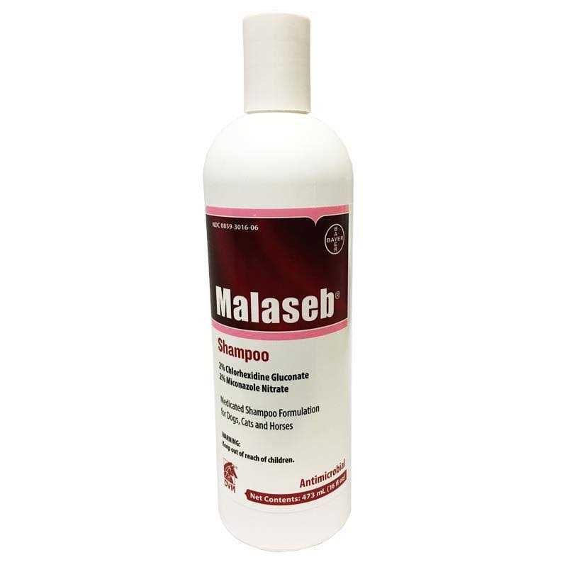 Malaseb Shampoo 16 oz - Healthber