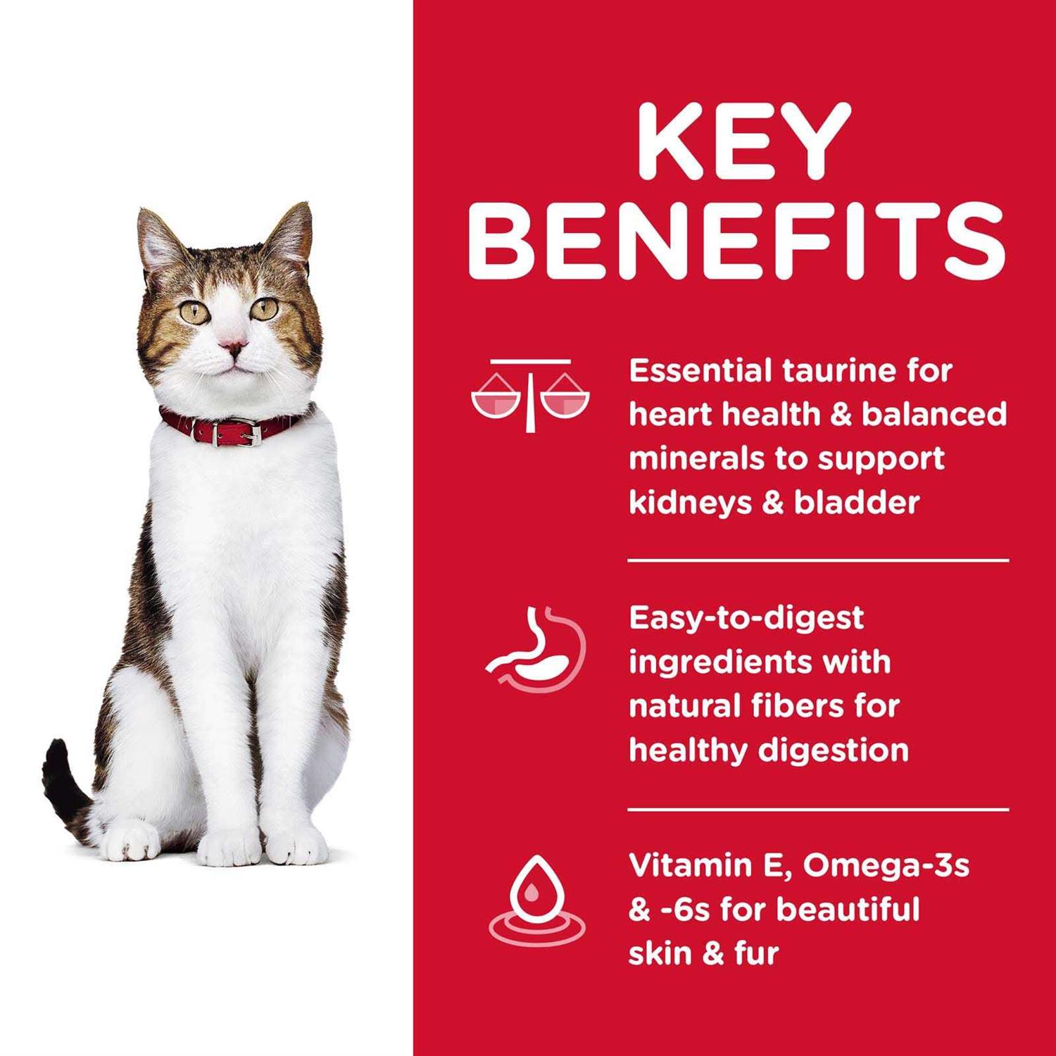 Hill’s Science Diet Adult 7+ Chicken Recipe Dry Cat Food - Healthber