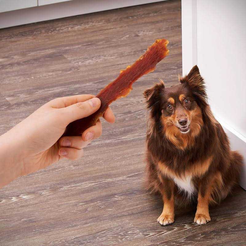 Golden Rewards Dog Treats - Healthber