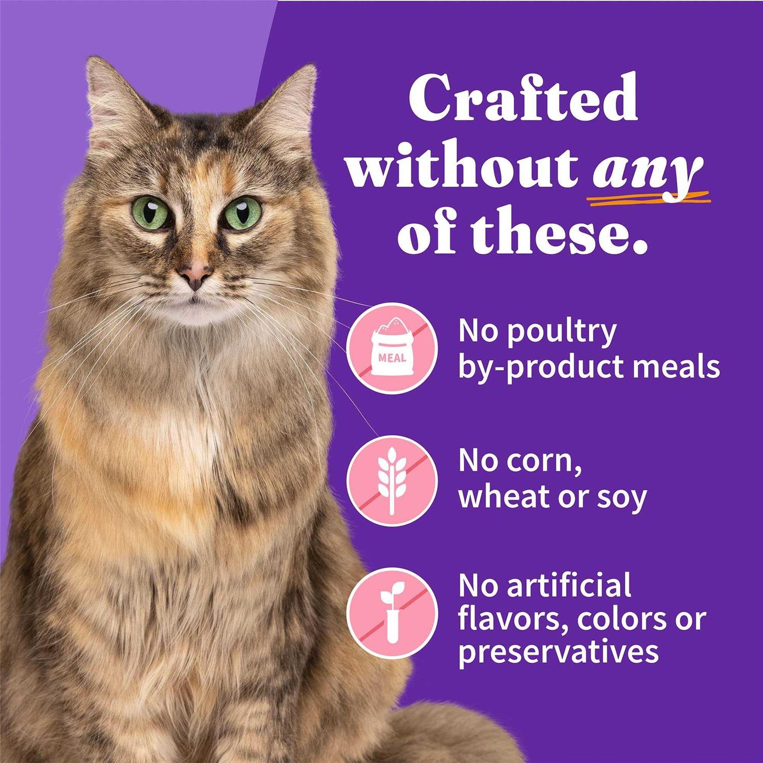 Halo Grain Free Salmon Stew Adult Cat Food - Healthber