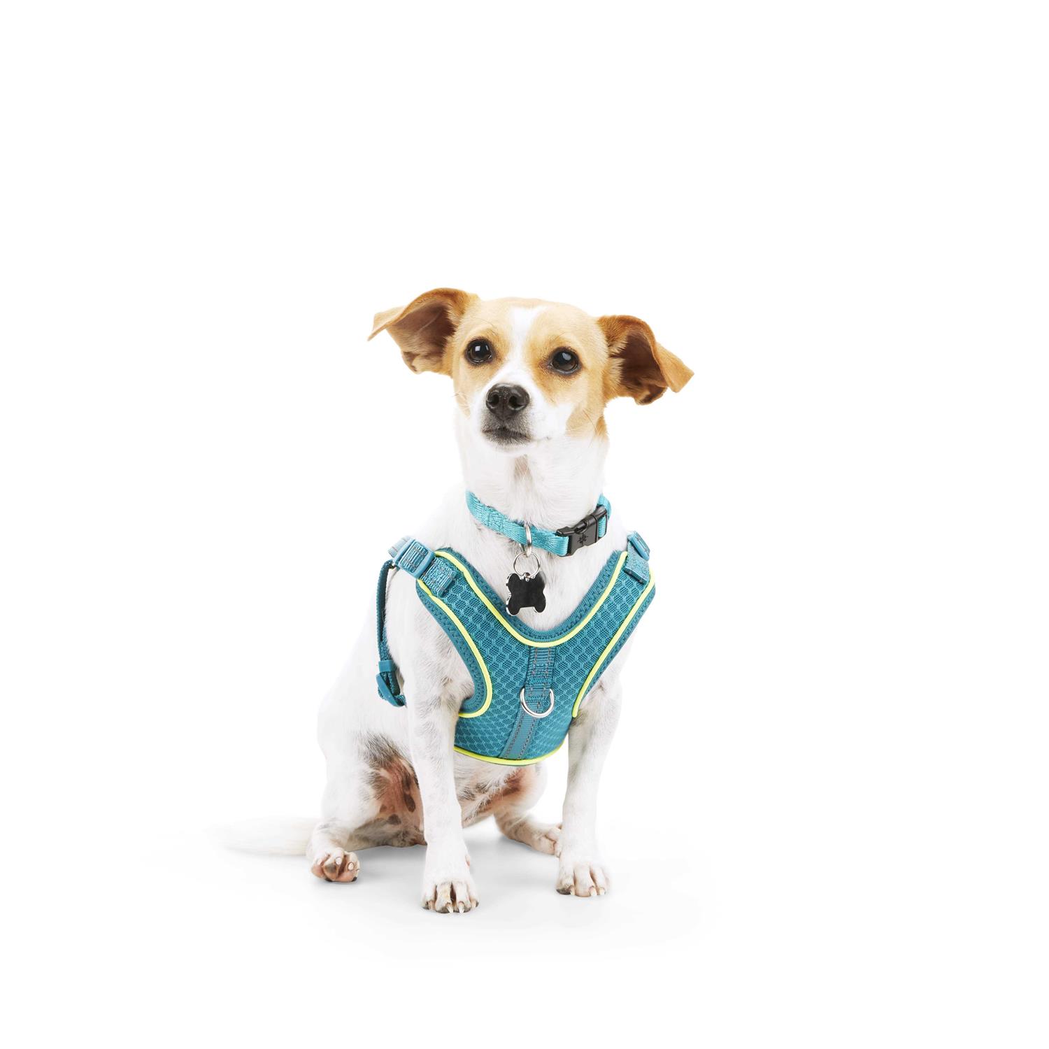 EveryYay Embrace The Pace Reflective Dog Harness - Healthber