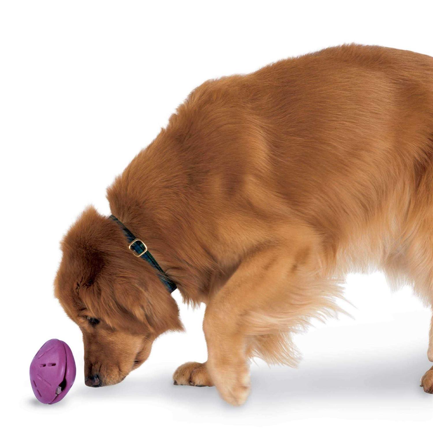 PetSafe Busy Buddy Twist n Treat Dog Toy - Healthber