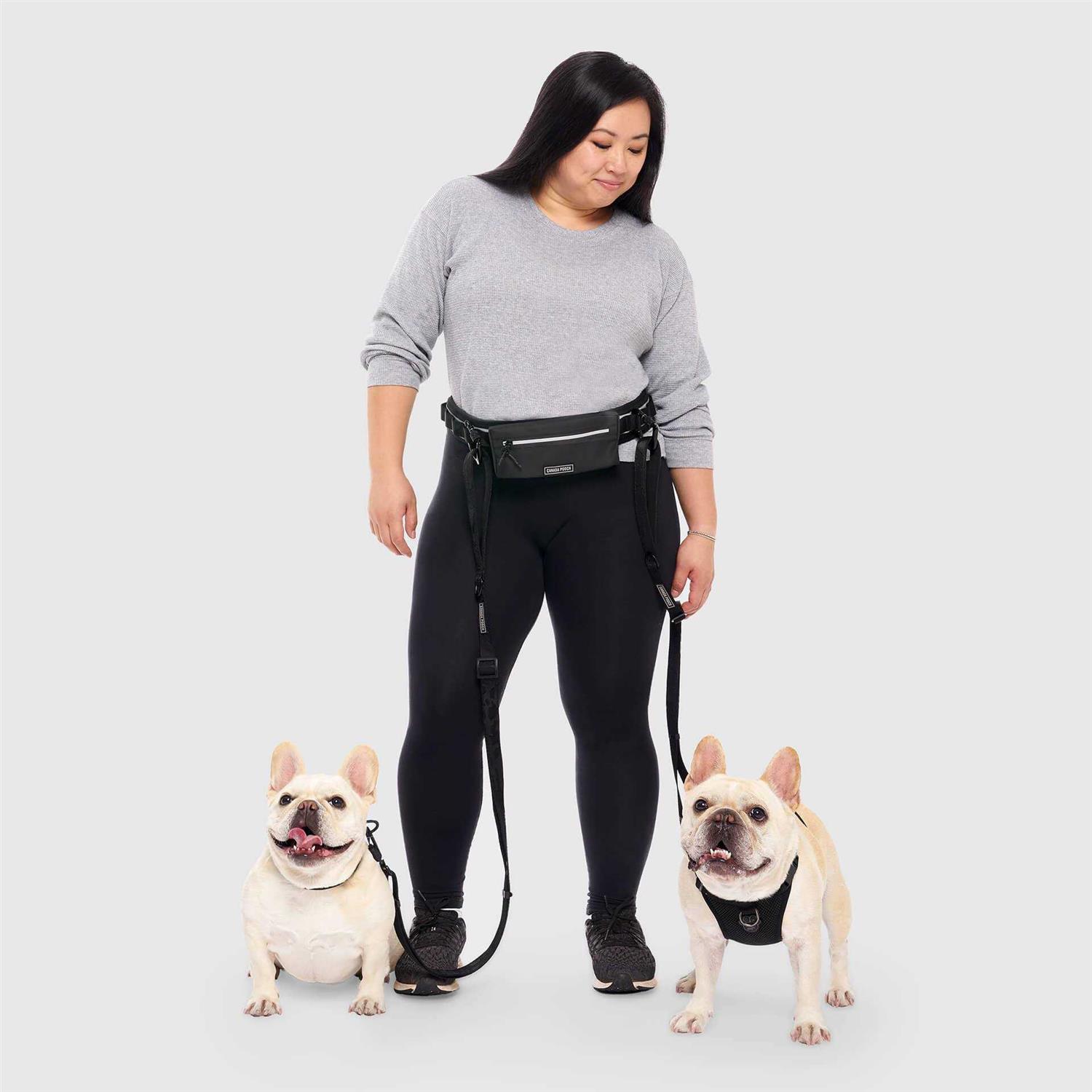 Canada Pooch Handsfree Dog Walking Carabiner - Healthber