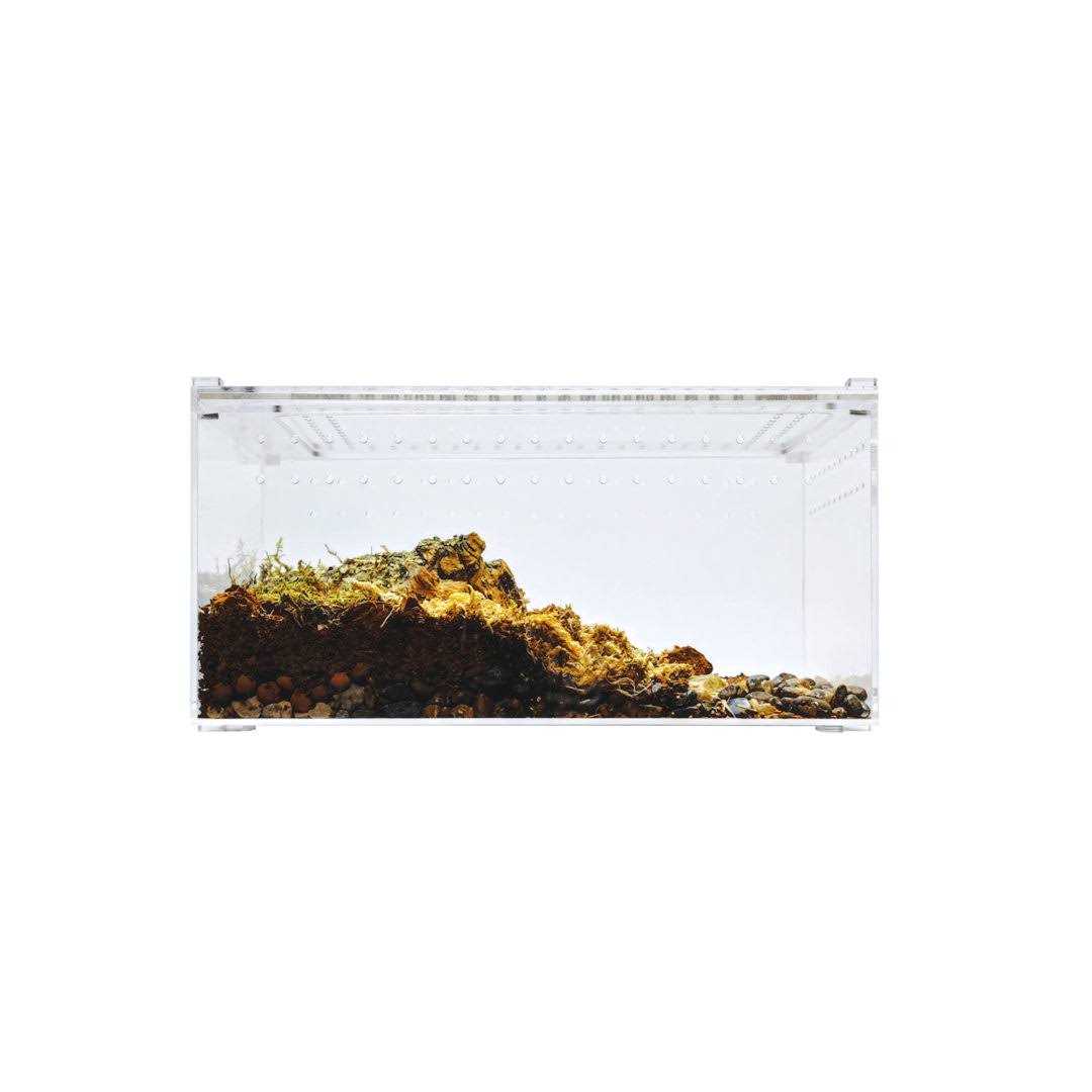 Herpcult Acrylic Insect & Reptile Terrarium - Healthber