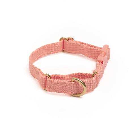 Awoo Marty Martingale Dog Collar - Healthber