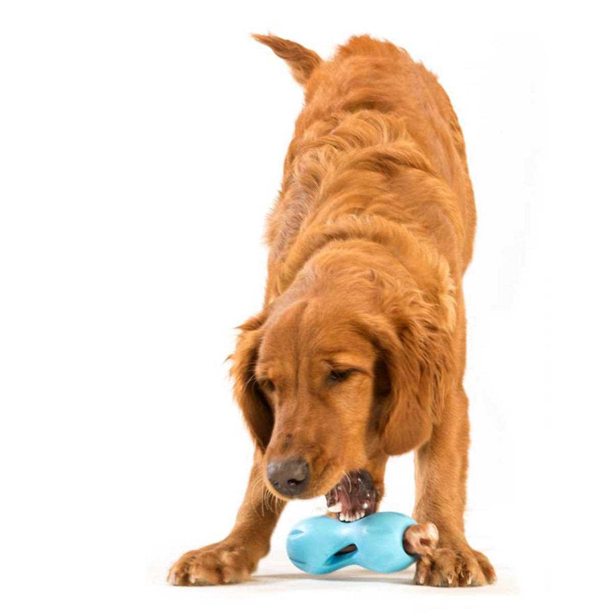 West Paw Qwizl Dog Toy - Healthber