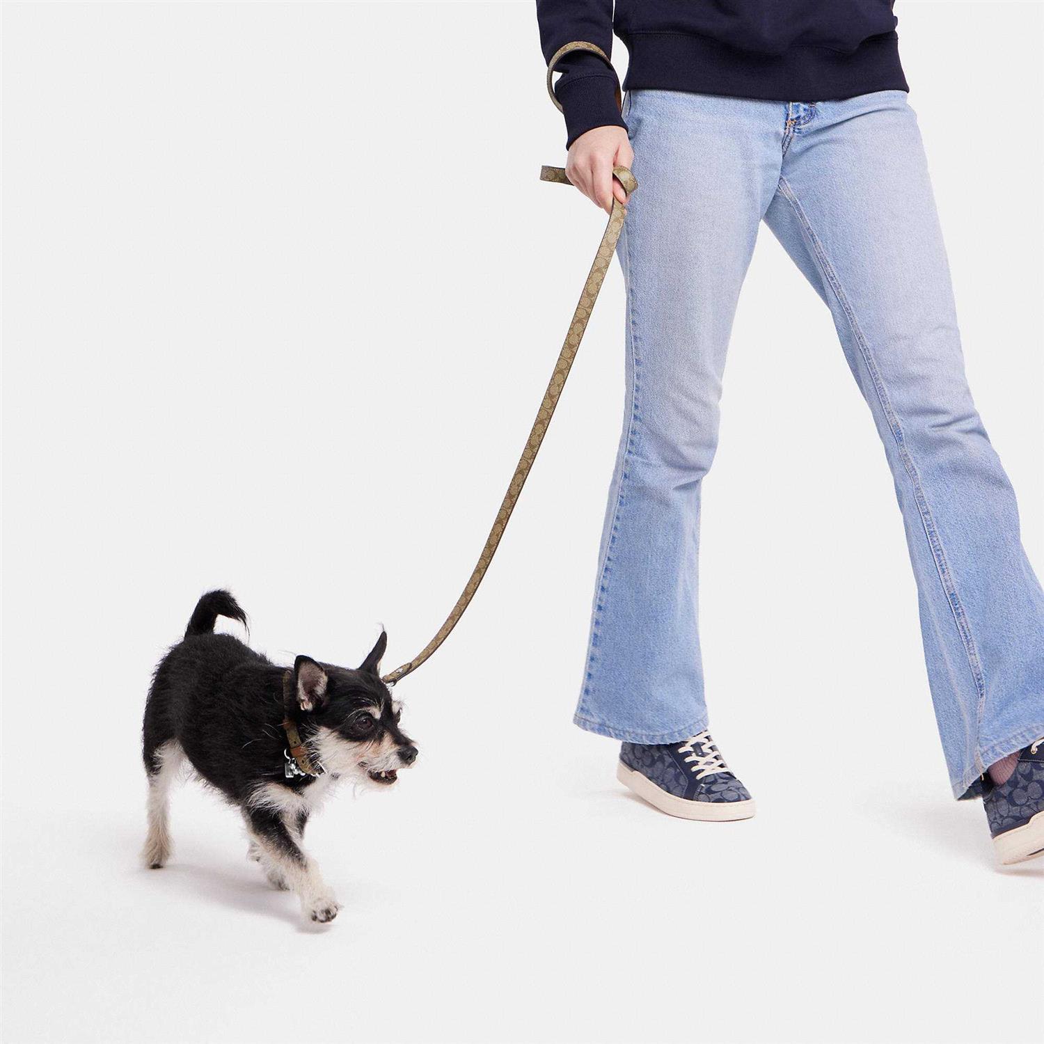 Coach Outlet Boxed Pet Leash In Signature Canvas - Healthber