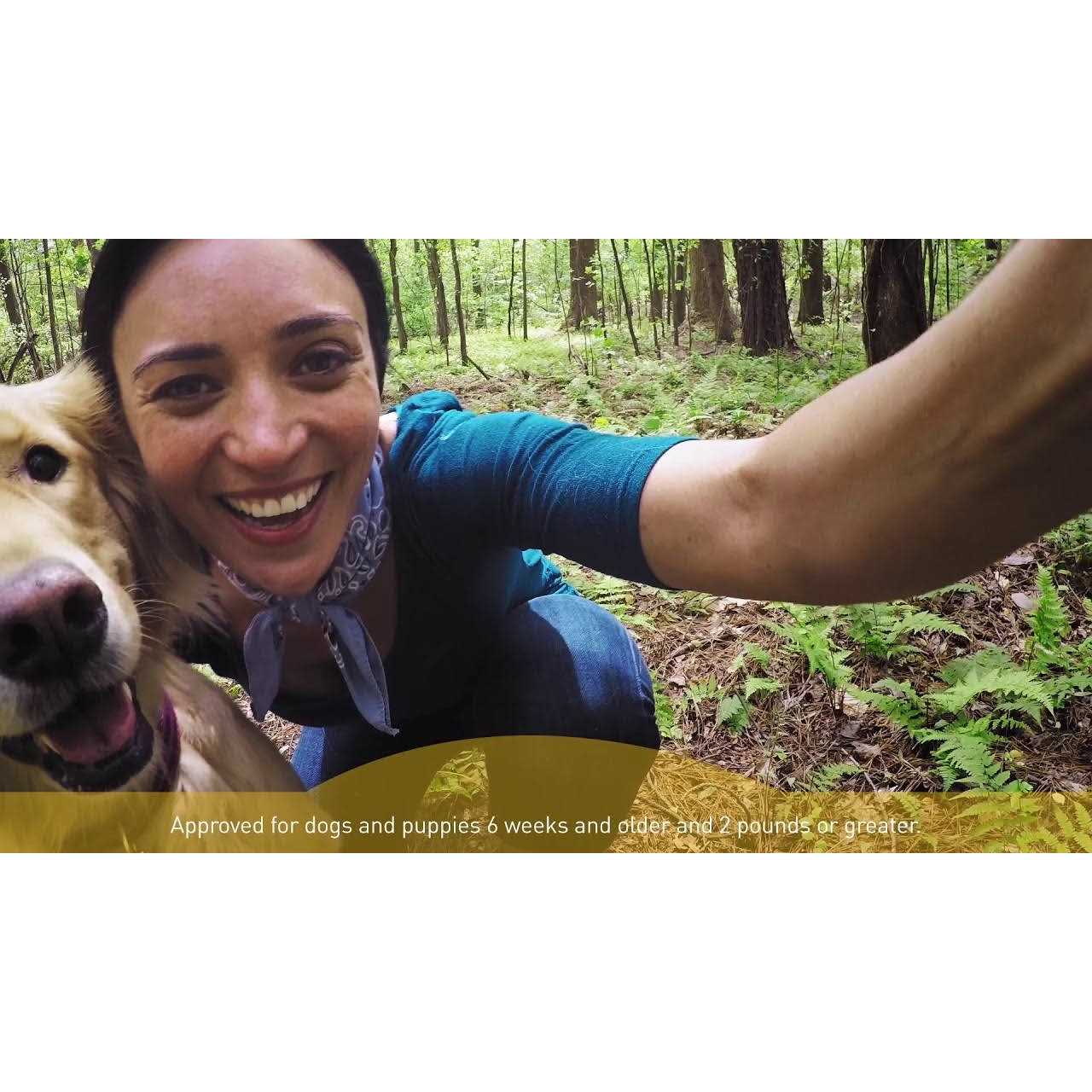 Interceptor Plus for Dogs - Healthber