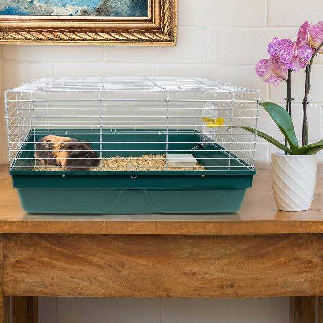 Pet Champion Small Animal Starter Kit - Healthber