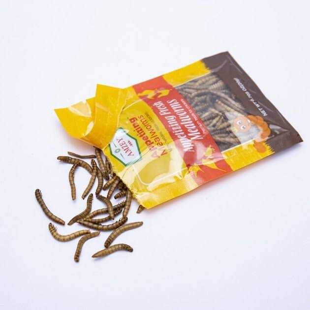 Amzey Appetizing Fresh Mealworms Treats - Healthber