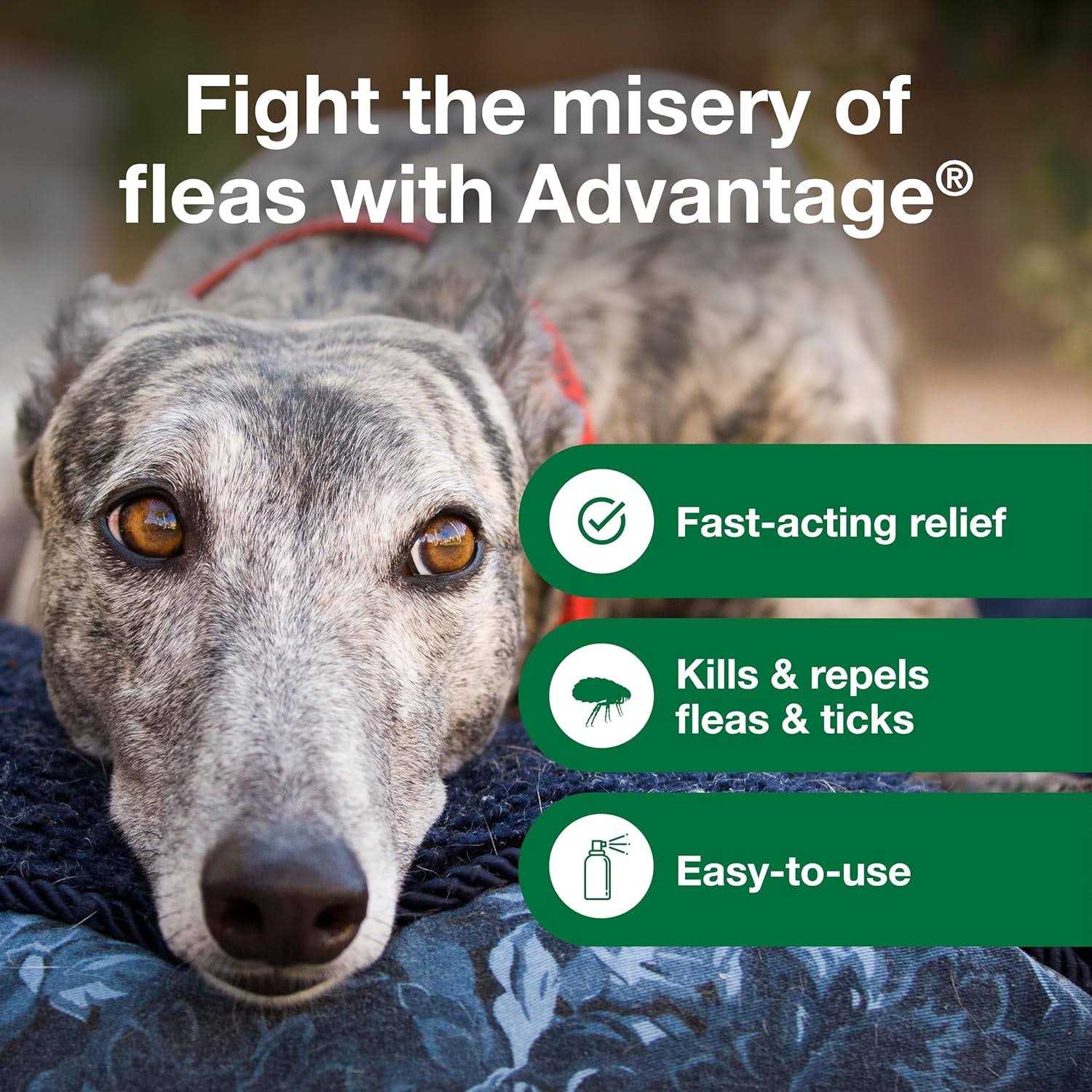 Advantage Flea & Tick Treatment Spray for Dogs - Healthber