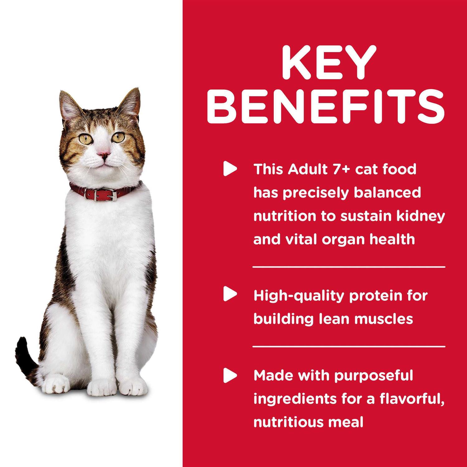 Hill’s Science Diet Adult 7+ Savory Cat Food Chicken Entree - Healthber