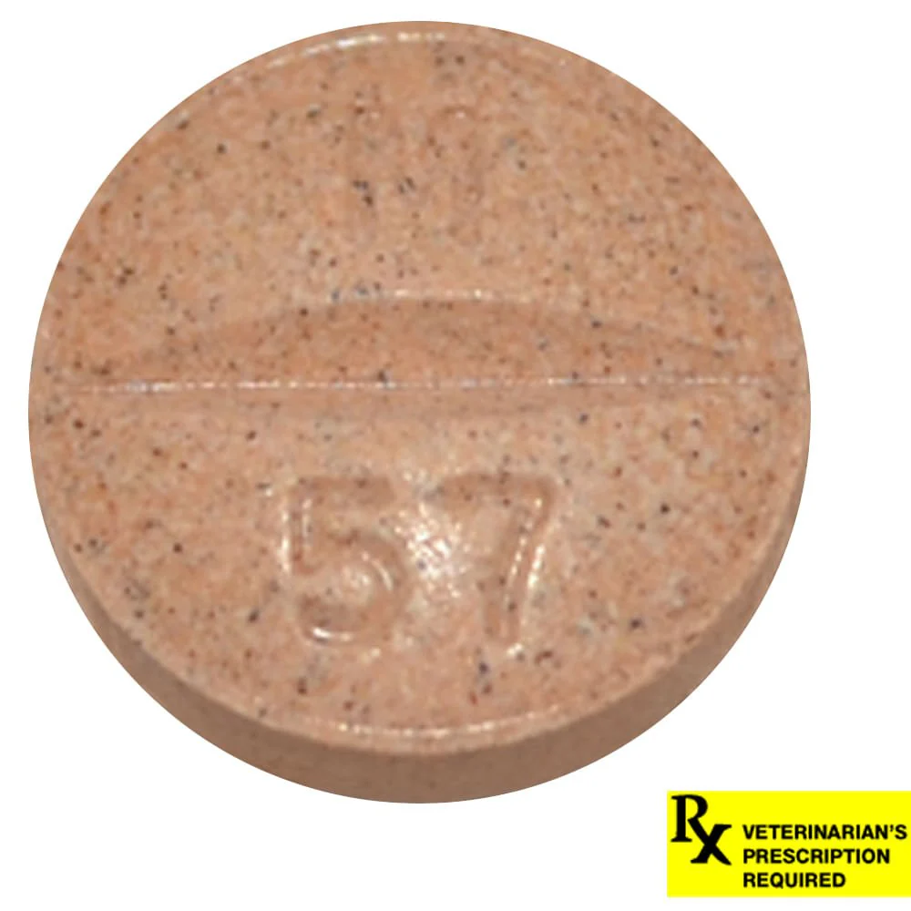 Rx Previcox (firocoxib) Chew Tabs for Dogs - Healthber