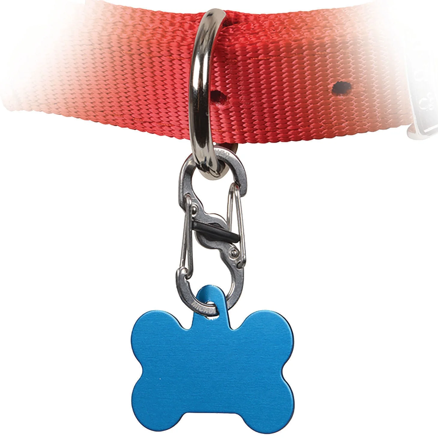 Locking Stainless S-Biner - Healthber