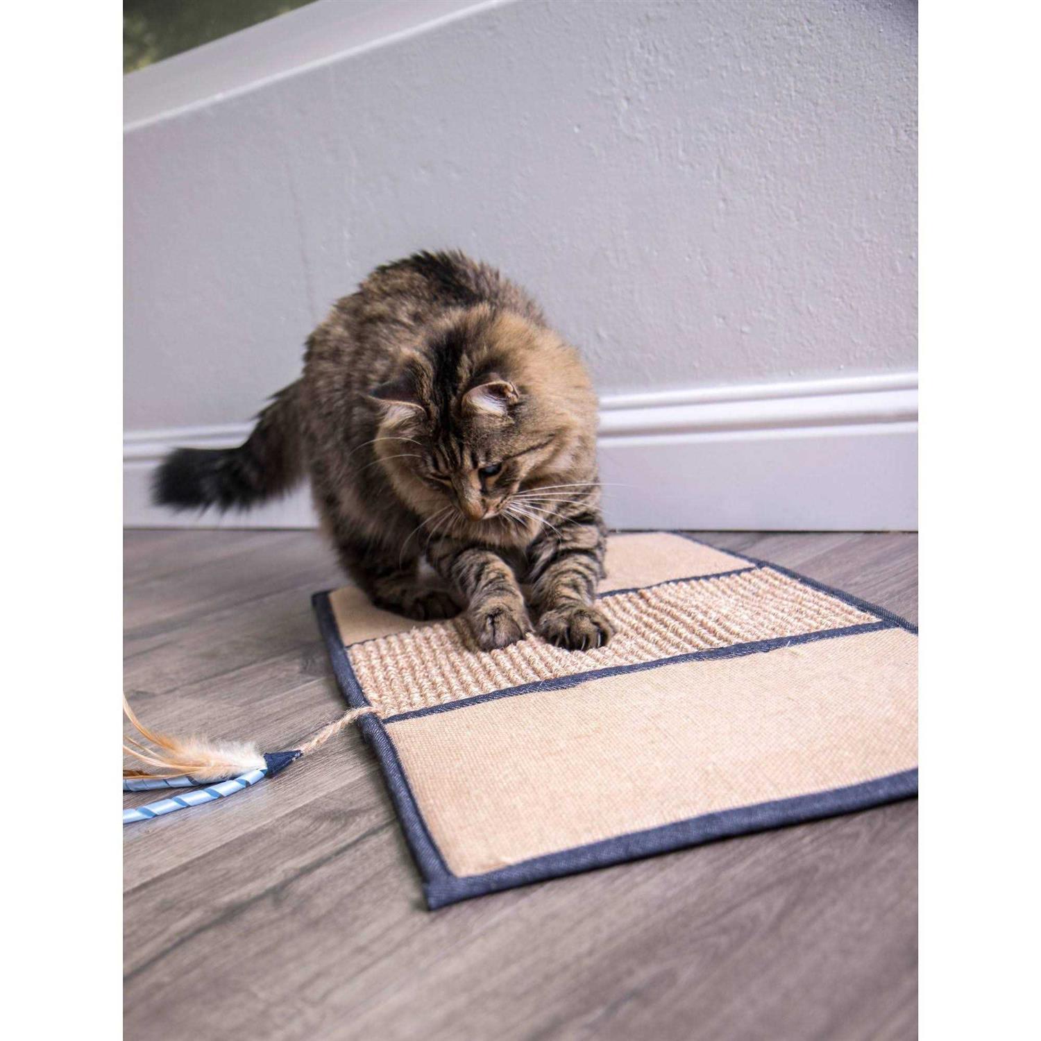 Petlinks Scratch & Play Cat Mat - Healthber