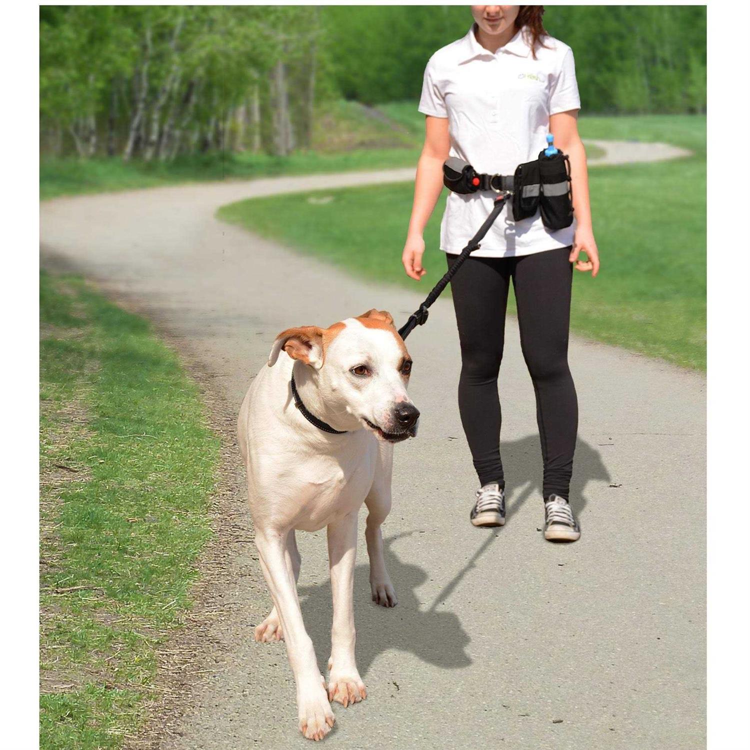 GF Pet Waist Belt & Bungee Leash - Healthber