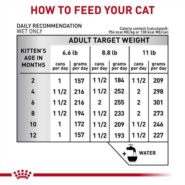 Royal Canin Veterinary Diet Gastrointestinal Kitten Ultra Soft Mousse in Sauce Canned Cat Food - Healthber