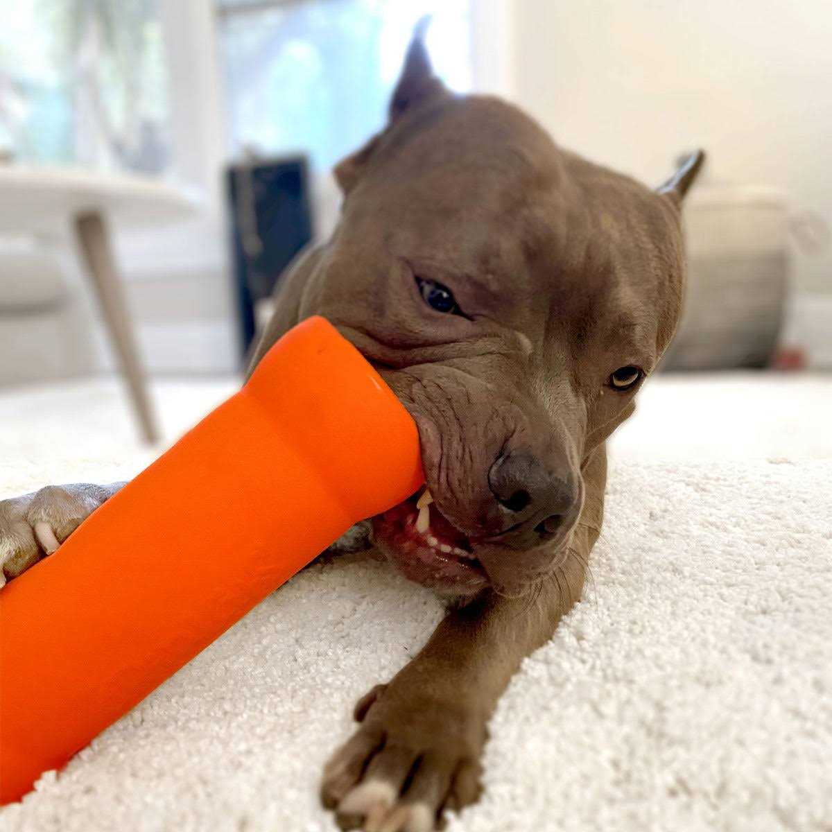 Ruff Dawg Crinkit Dog Toy - Healthber
