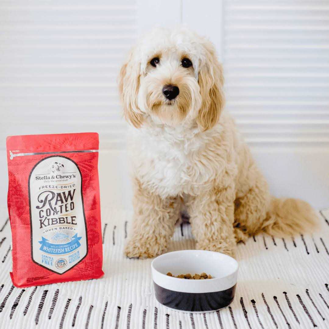 Stella & Chewy’s Raw Coated Dog Kibble Wild Caught Whitefish - Healthber