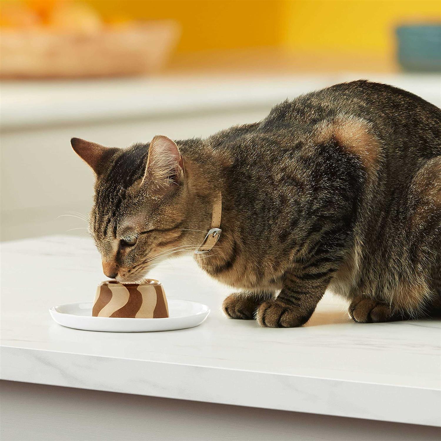 Meow Mix Tasty Layers Cat Food - Healthber