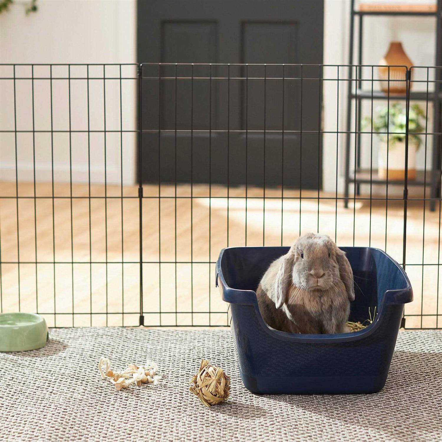 Frisco High Sided Small Pet Litter Box - Healthber