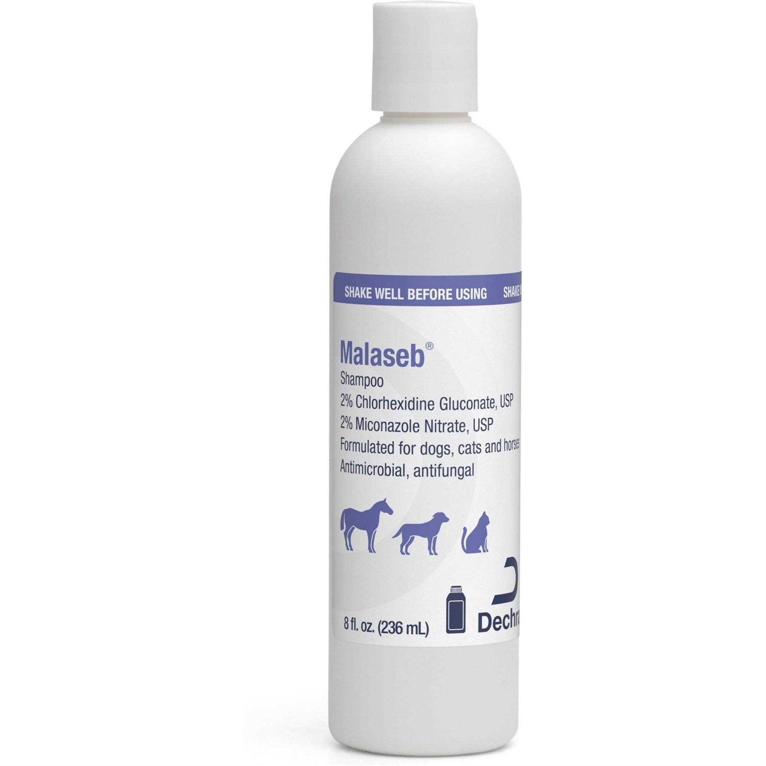 Malaseb Shampoo 8 oz - Healthber