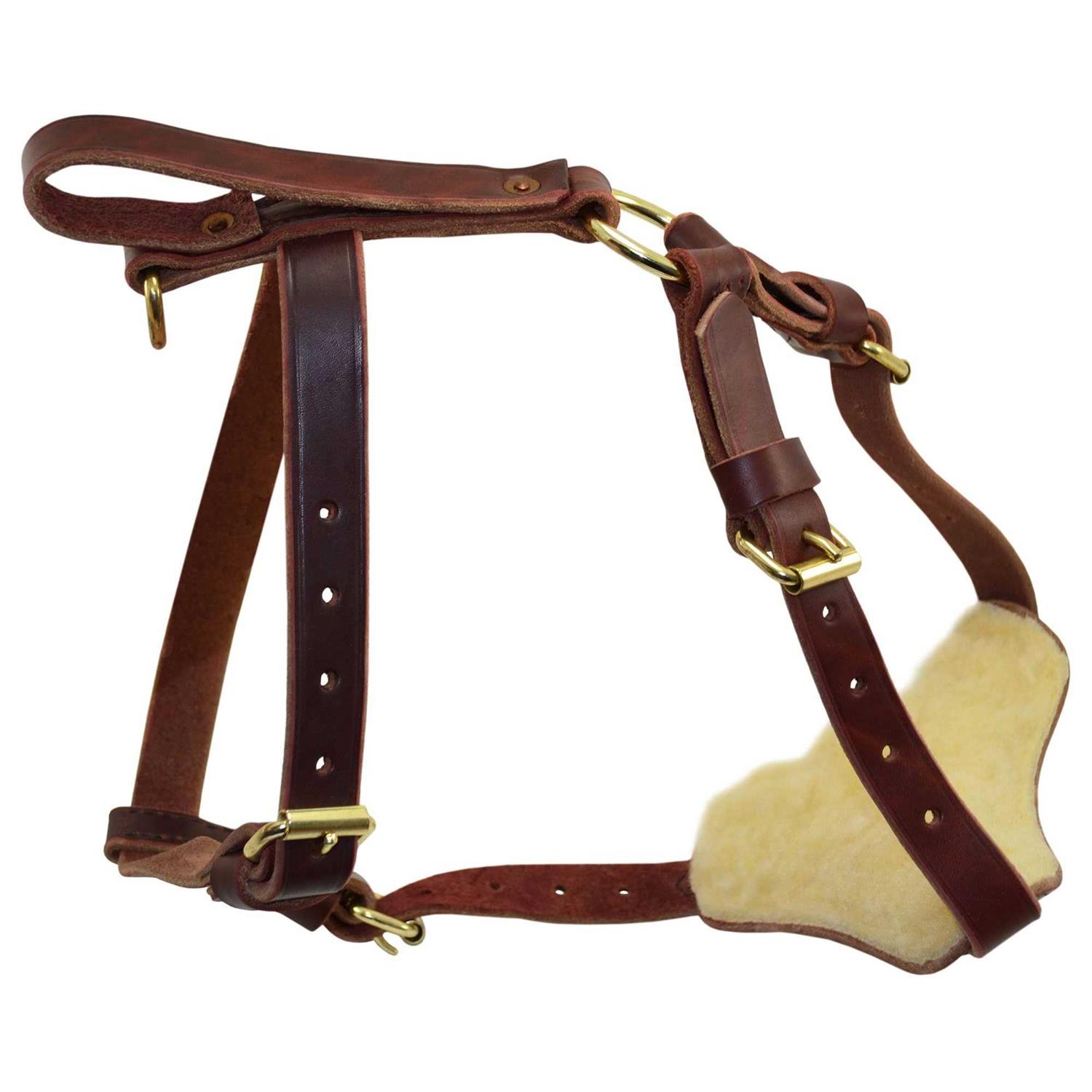 Signature k-9 Leather Tracking Harness - Healthber