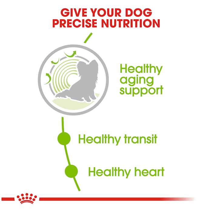 Royal Canin X-Small Aging 12+ Dry Dog Food - Healthber