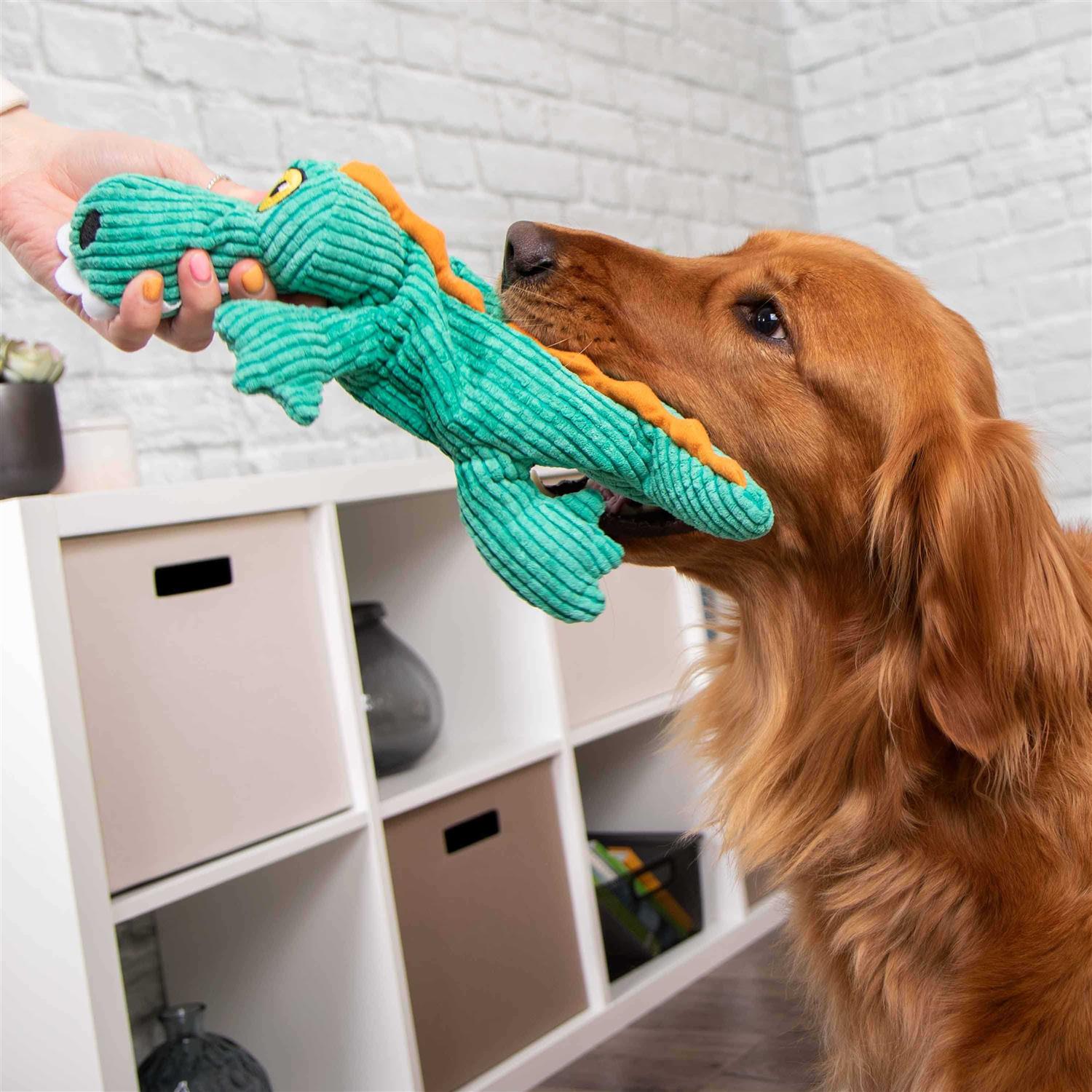 TrustyPup Plush Gator Dog Toy - Healthber