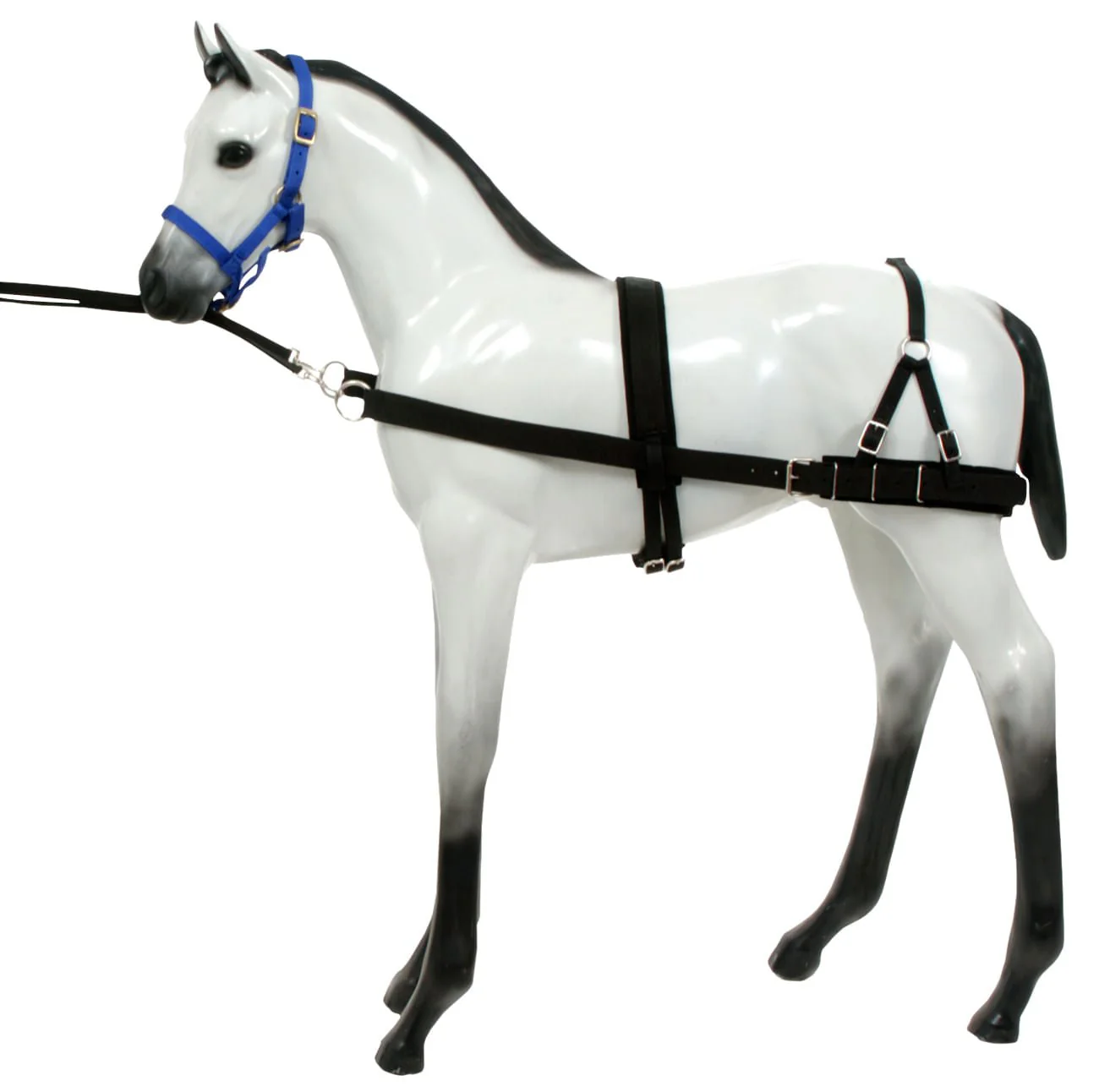 Foal Training Device - Healthber