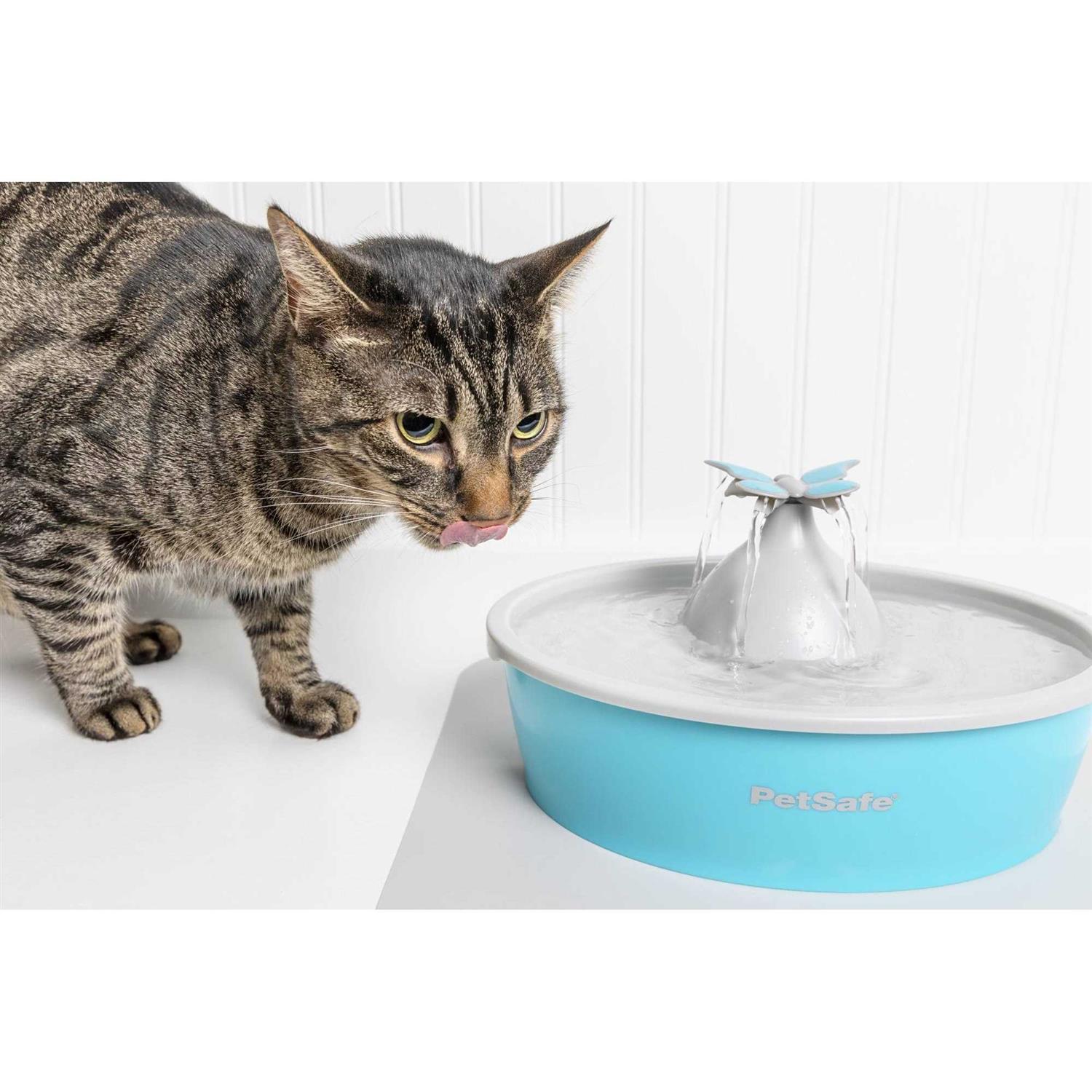 PetSafe Drinkwell Butterfly Pet Fountain - Healthber