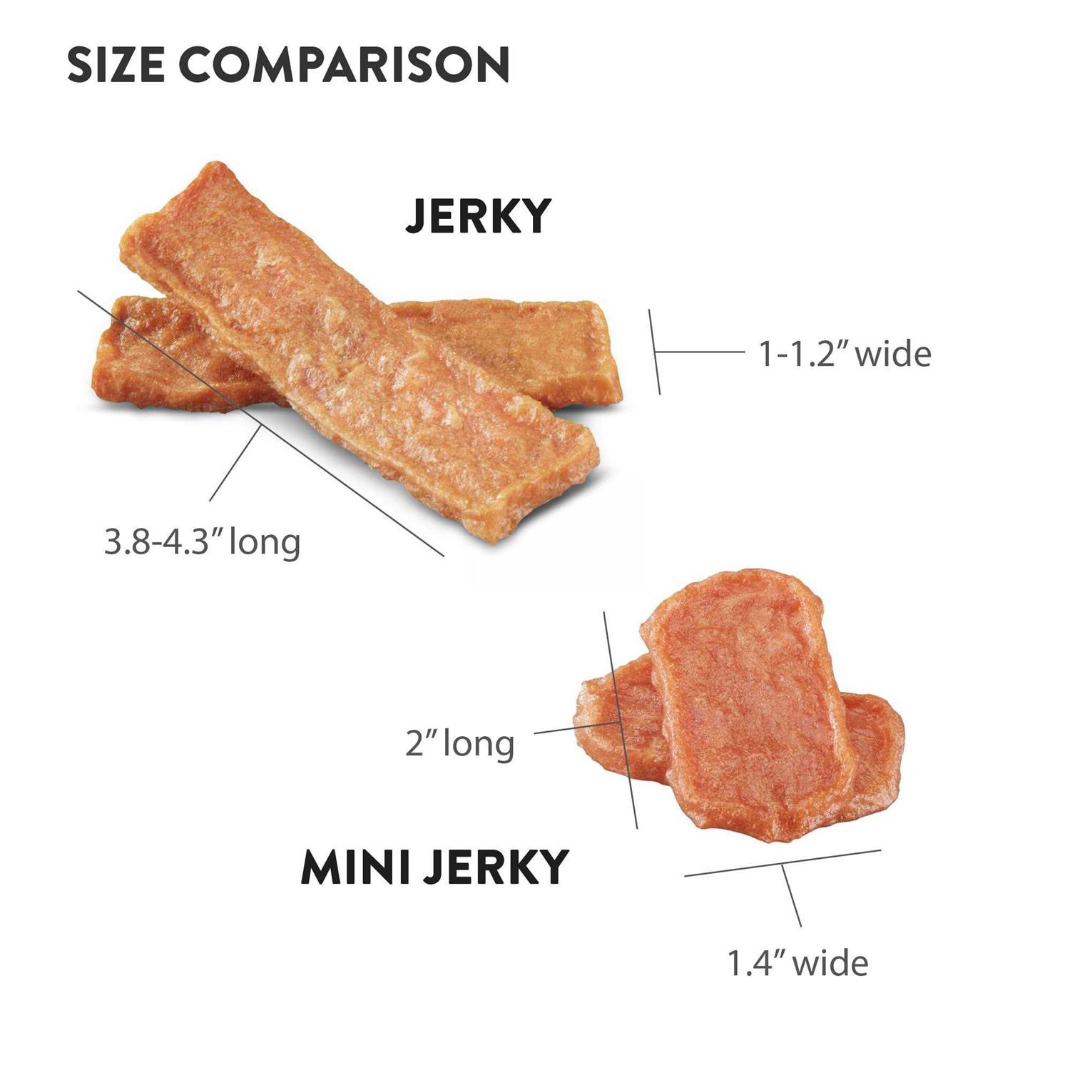 Dogswell Salmon Skin & Coat Jerky - Healthber
