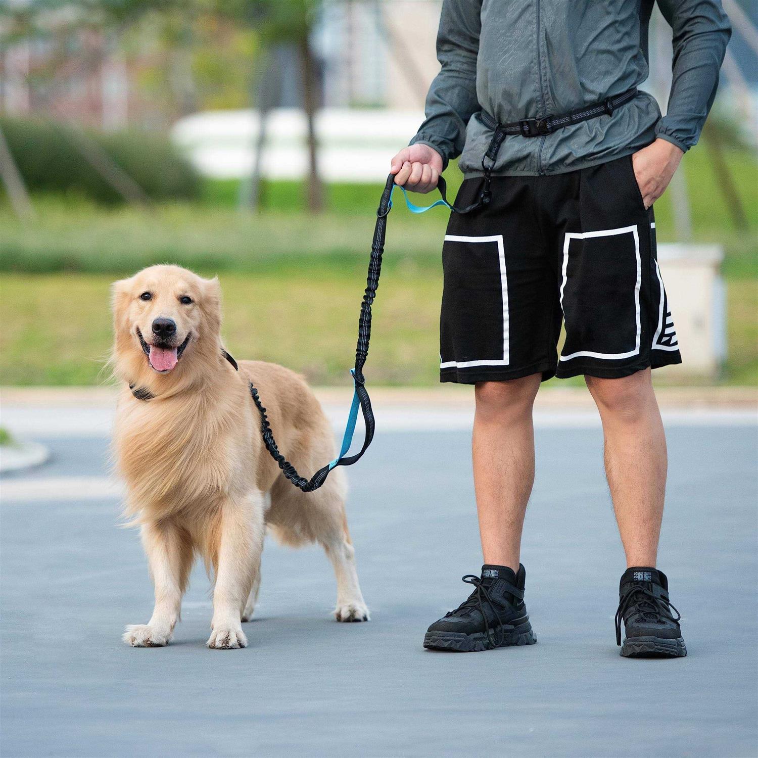 iYoShop Hands Free Dog Leash with Zipper Pouch, Dual Padded Handles and Durable Bungee for Walking, Jogging and Running Your Dog - Healthber