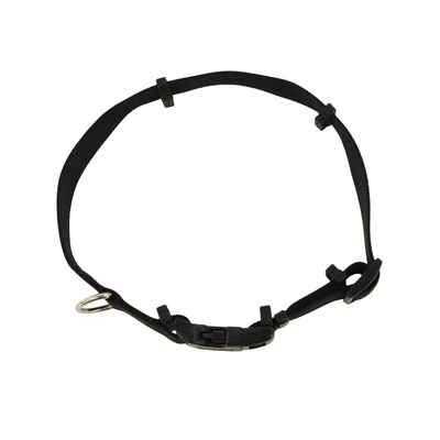 Coastal Hideaway Flea Collar Protector - Healthber