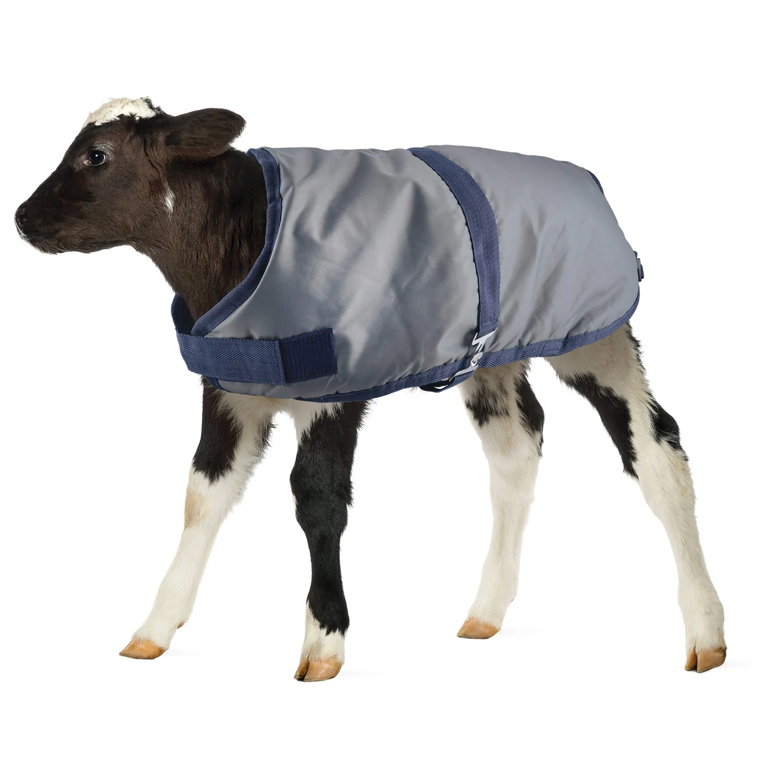 Kozee Kalf Insulated Calf Blanket, 600 Denier - Healthber