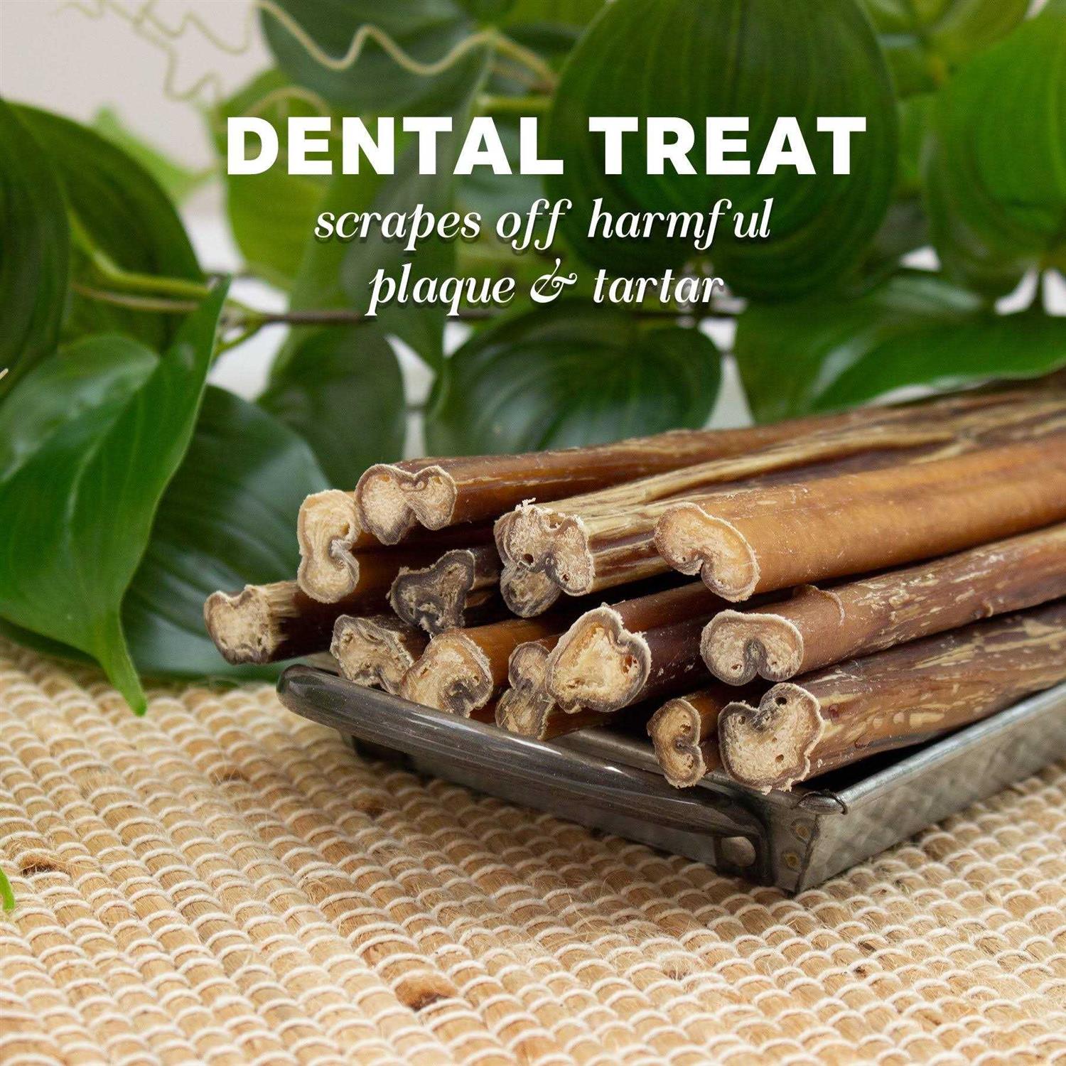 Downtown Pet Supply Bully Sticks for Dogs Free Dog - Healthber