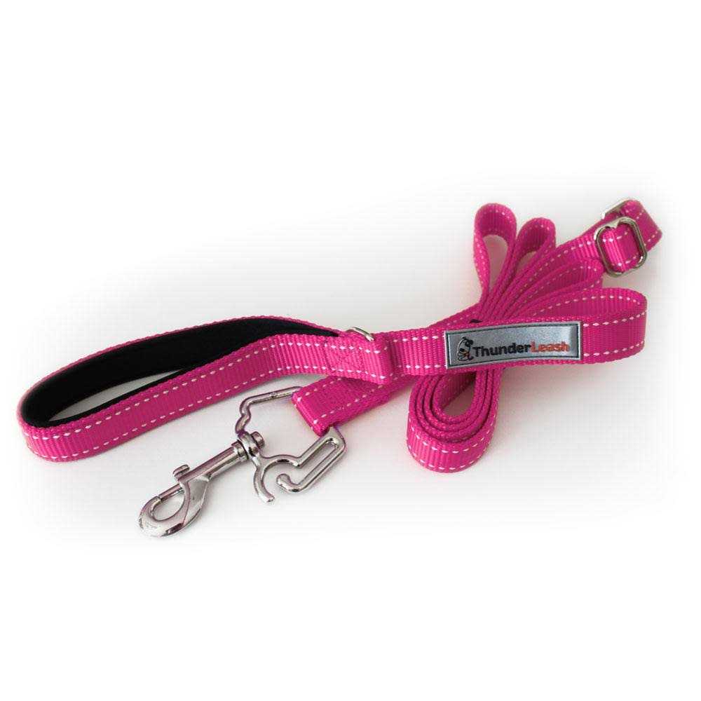 ThunderLeash Dog Leash - Healthber