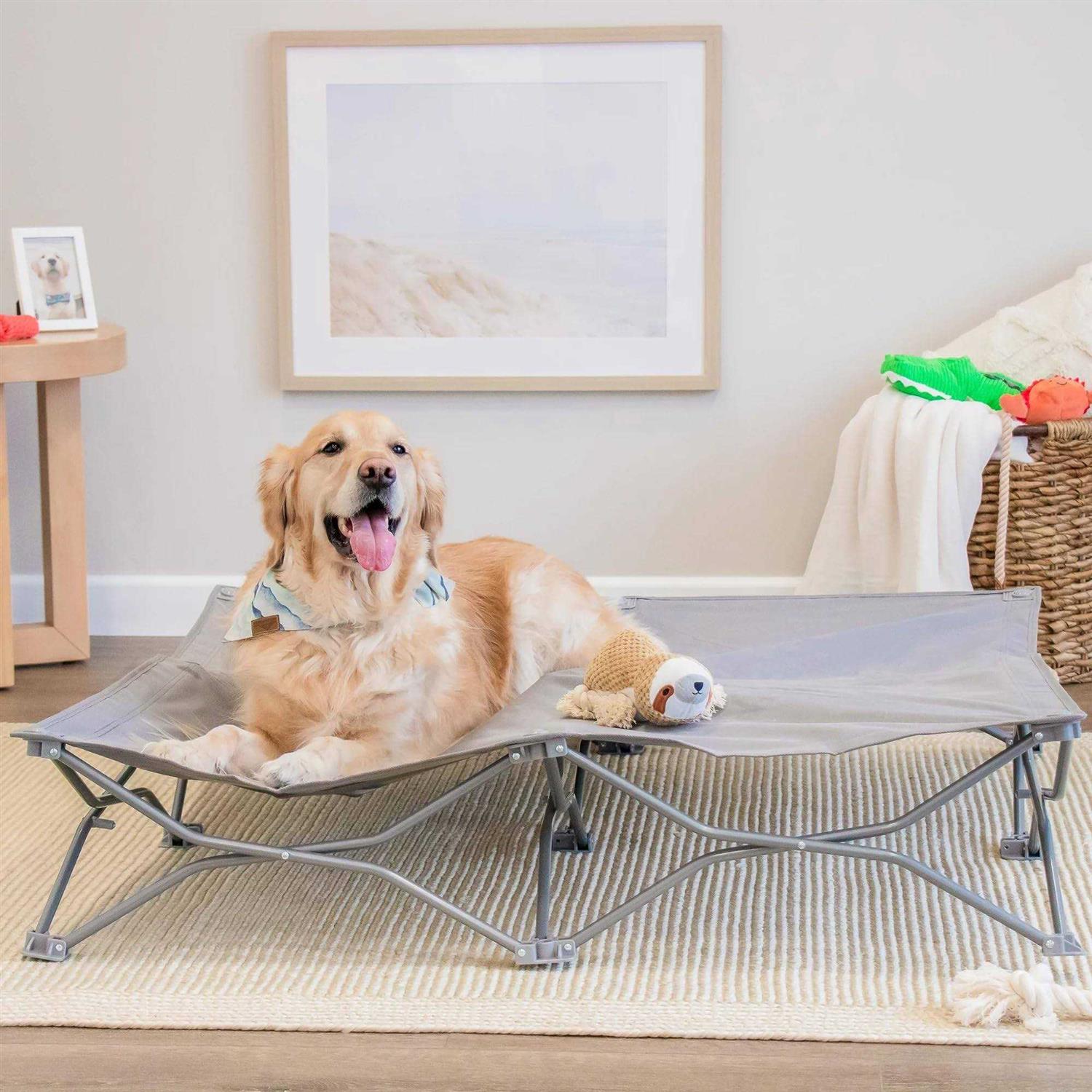 Carlson Pet Products Portable Pup Pet Bed - Healthber
