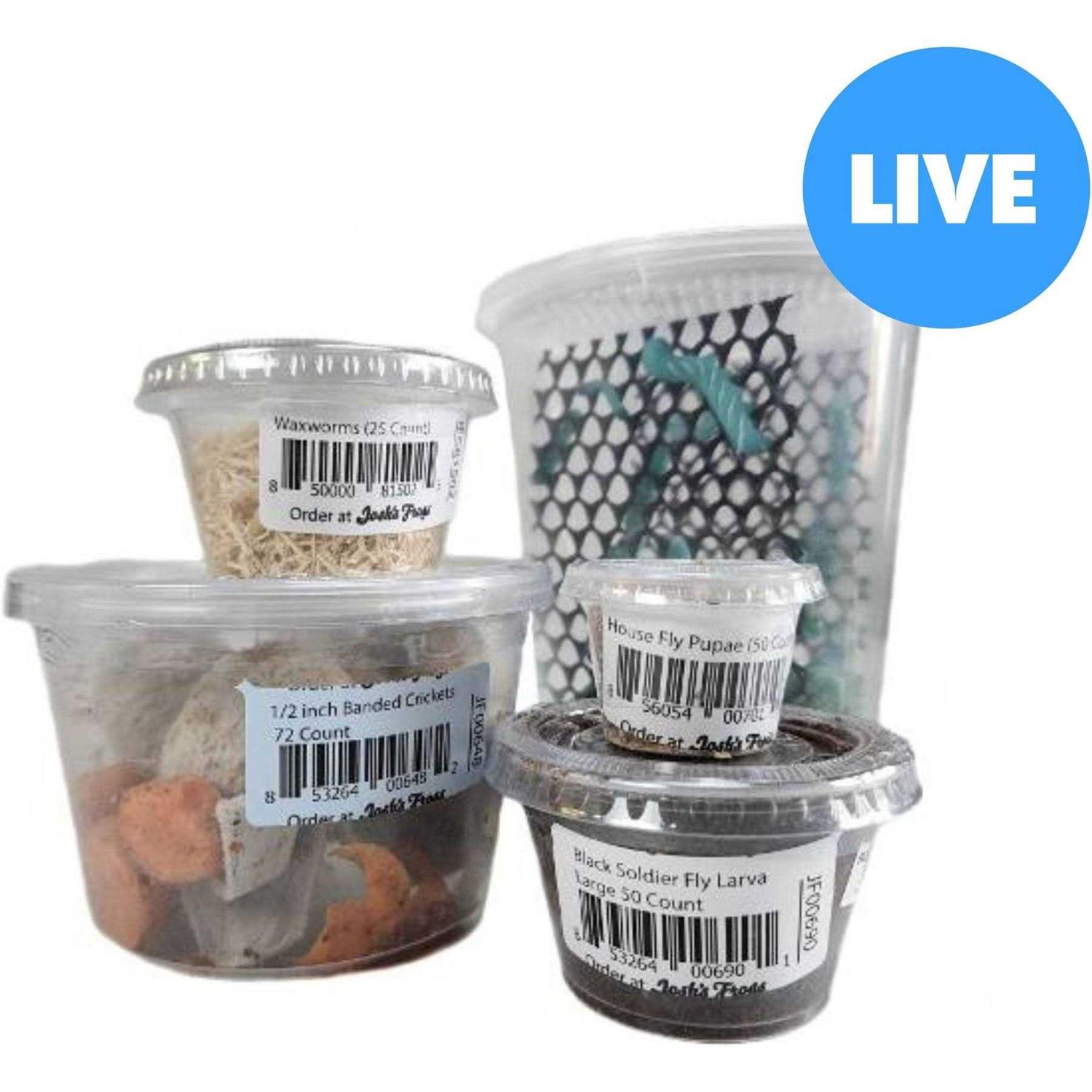 Josh’s Frogs Chameleon Feeder Bundle - Healthber
