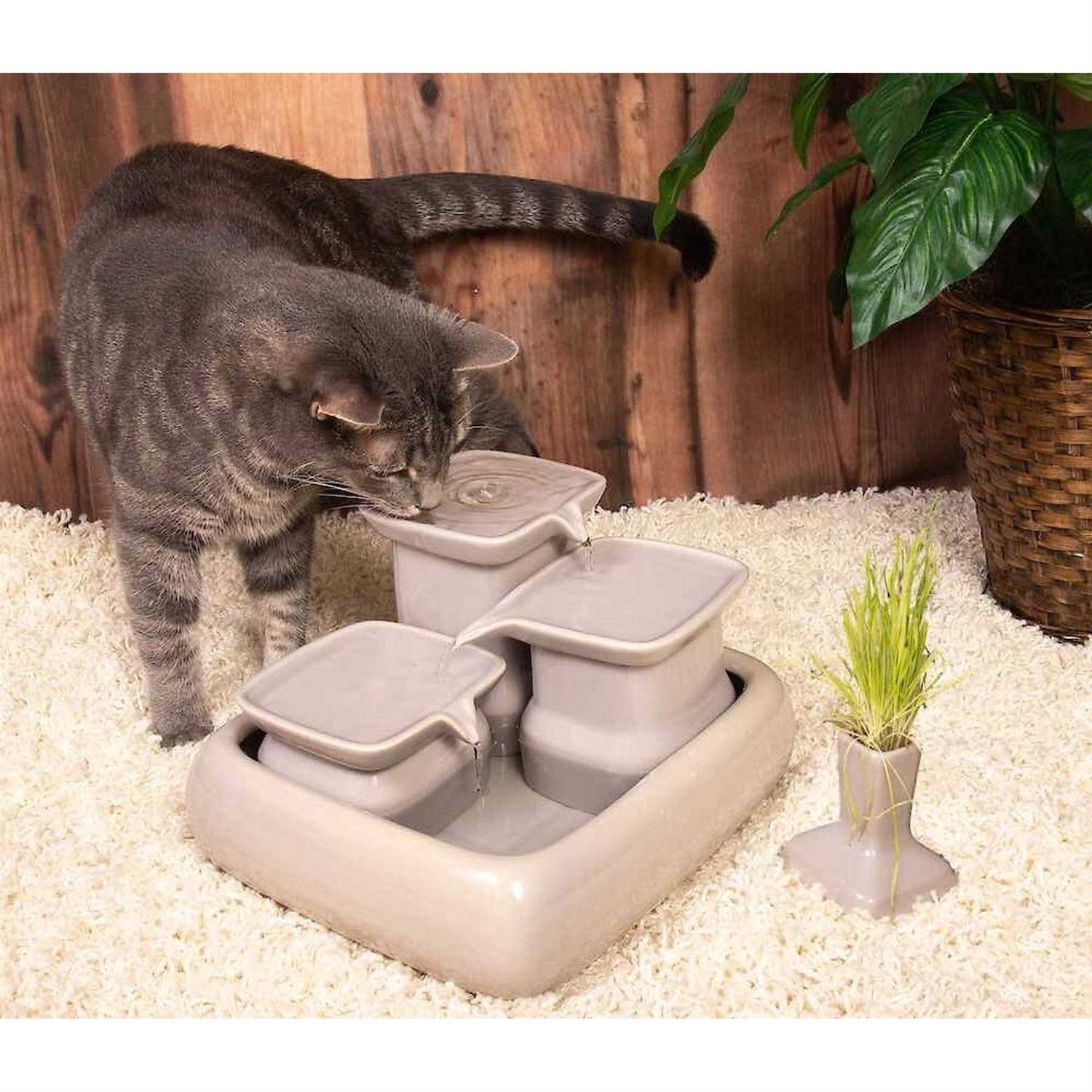Miaustore Ceramic Cat Water Fountain - Healthber