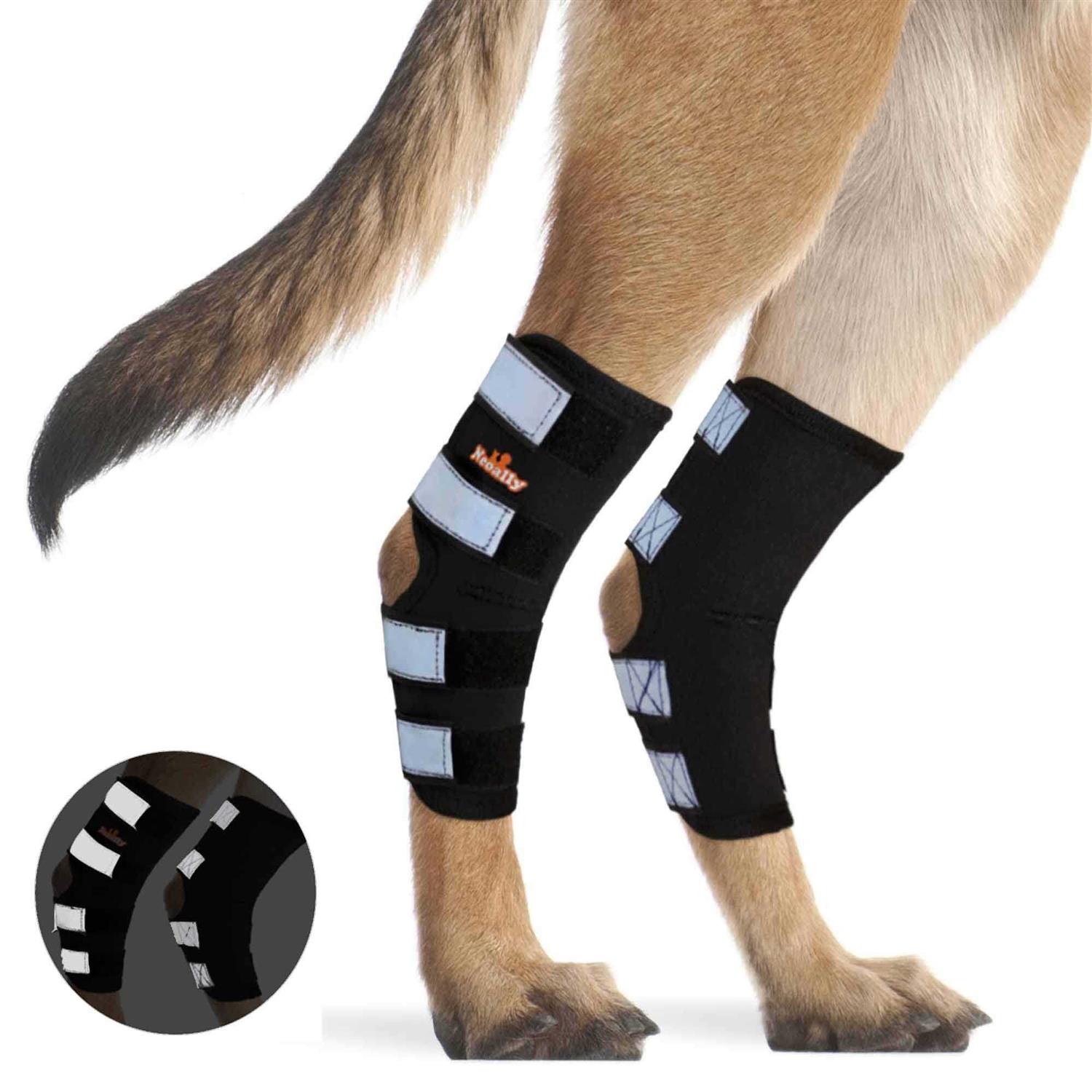 Neoally Dog Hind Leg Brace Canine Rear Leg Support with Safety Reflective Straps for Joint Injury - Healthber