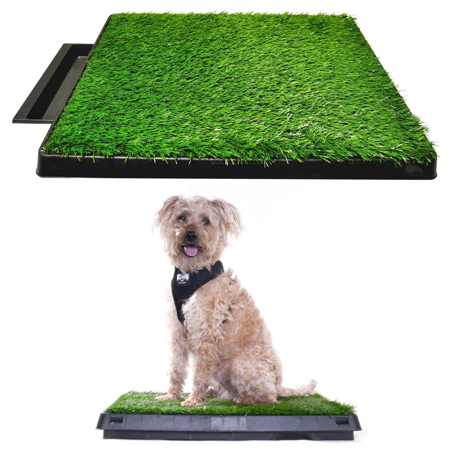 Downtown Pet Supply Dog Grass Pad with Tray, 20 x - Healthber