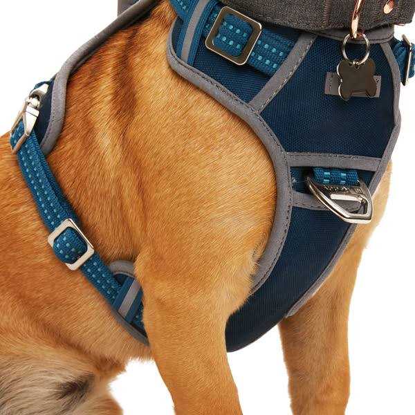 Reddy Navy Dog Harness - Healthber