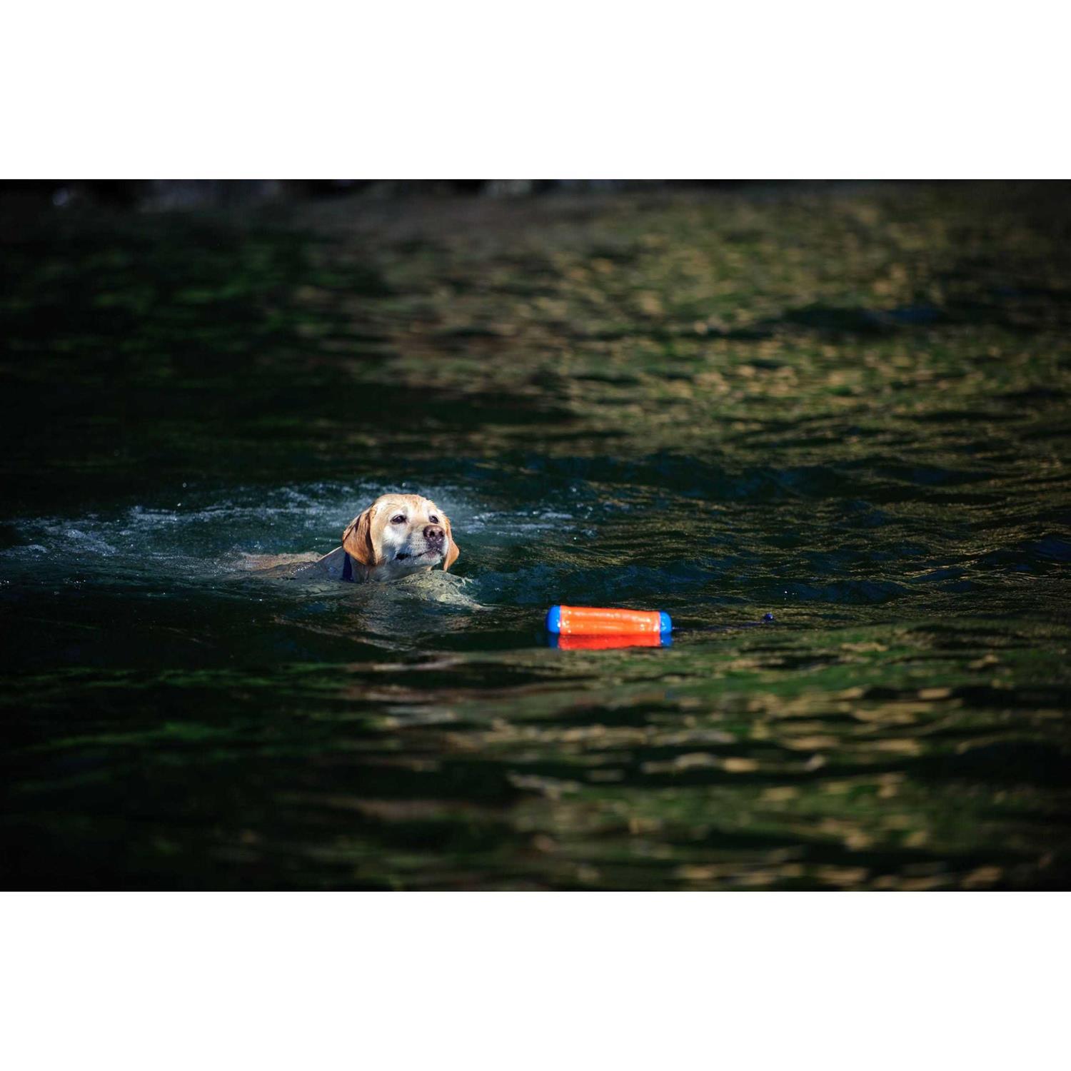 Chuckit! Amphibious Bumper Toy - Healthber