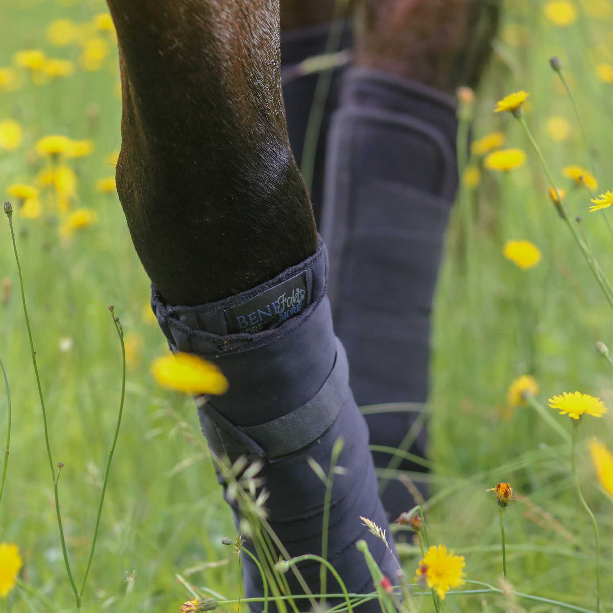 BeneFab Antimicrobial Therapeutic VersiWraps Horse Wraps, Pair - Healthber