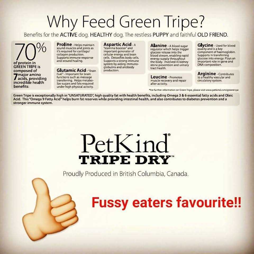 PetKind Tripe Dry Grain-Free Venison Tripe Formula Dry Dog Food - Healthber