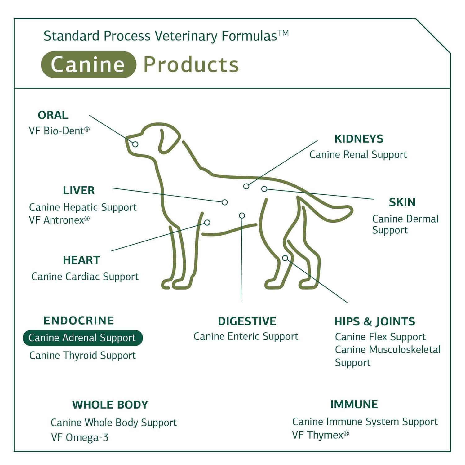 Canine Adrenal Support - Healthber